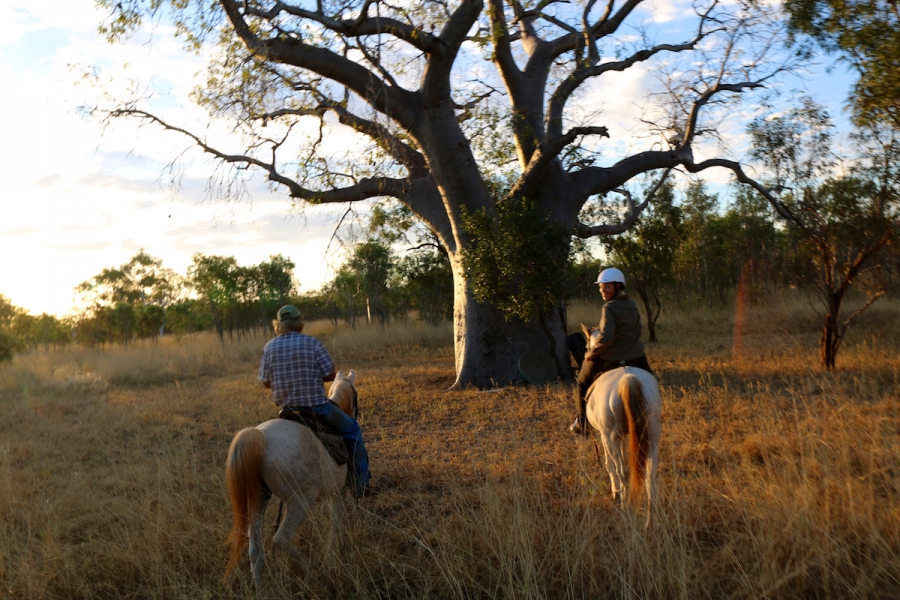 Paardrijden in de West Kimberley savanne