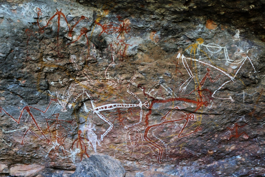 Wildlife & rock-art in Kakadu