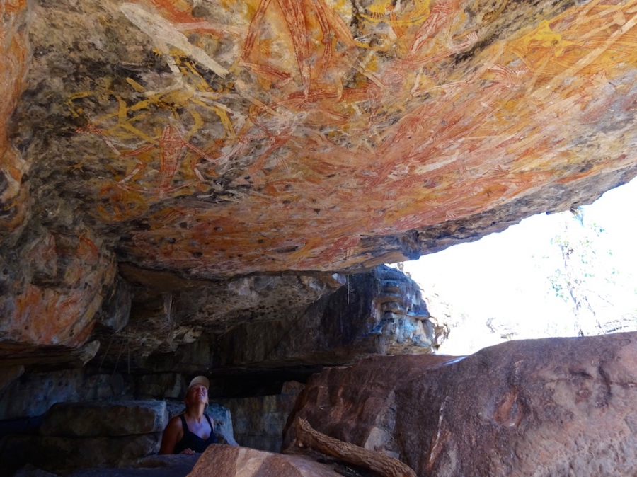 De rock-art van Mount Borradaile
